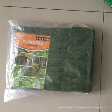 Encerado do verde-prata 150gsm do pe usado para a casa